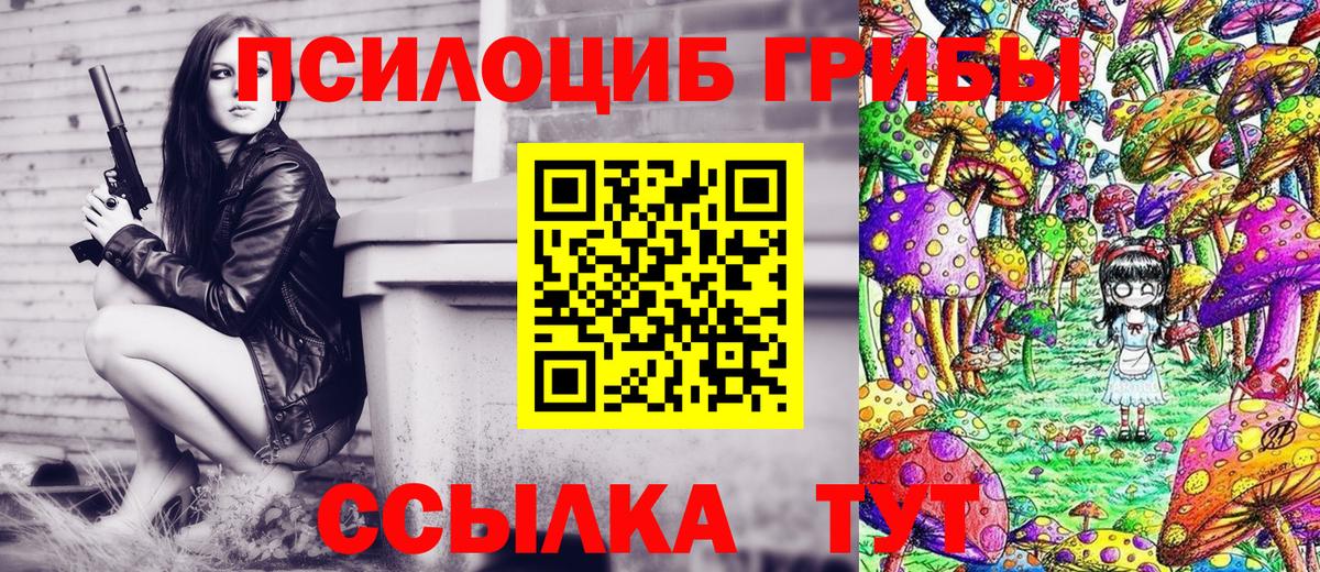 Алапаевск  продажа наркотиков  Вход с VPN  Галлюциногенные грибы Magic Shrooms 